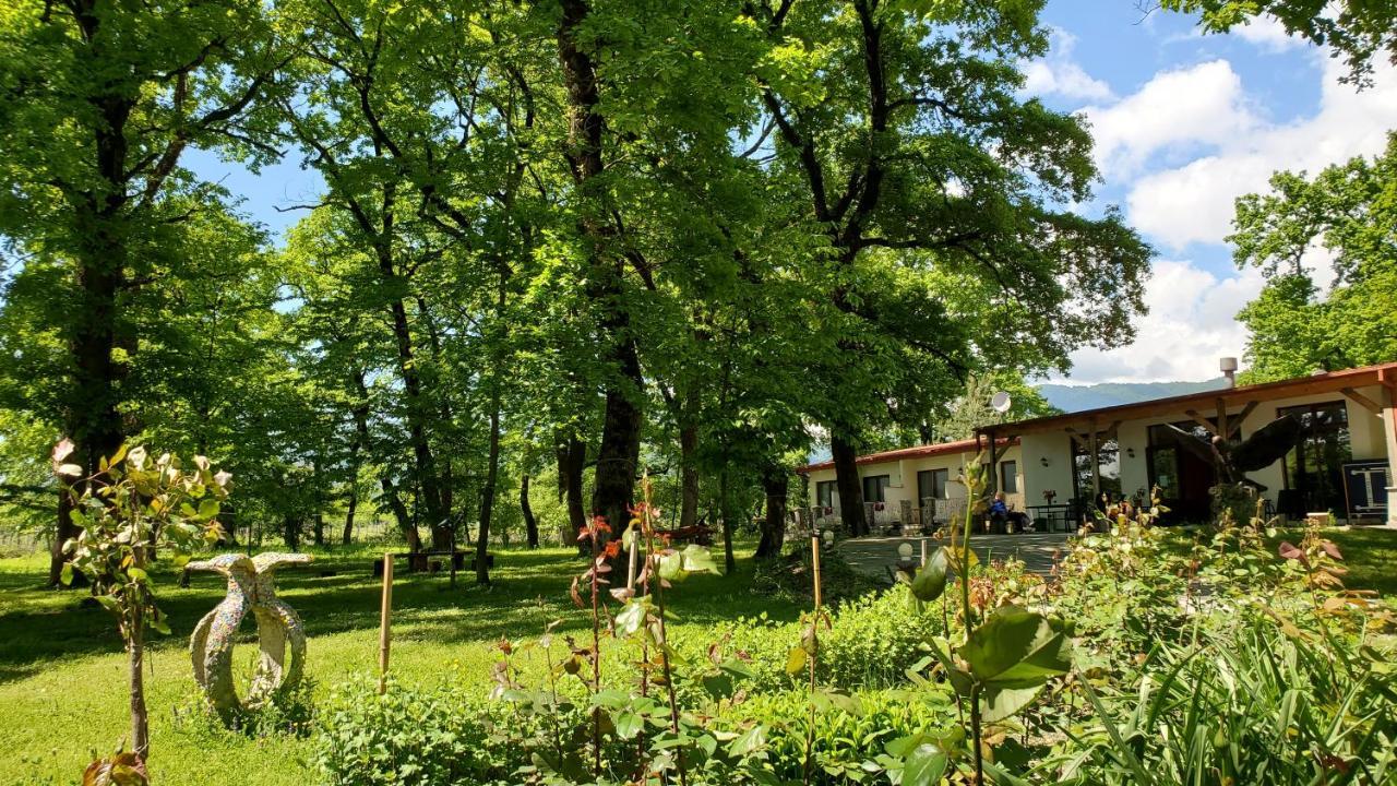 Kvareli Oaks エクステリア 写真